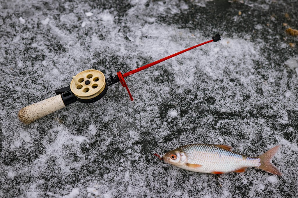 нюансы оснащения зиней поплавочной удочки 00005.JPG